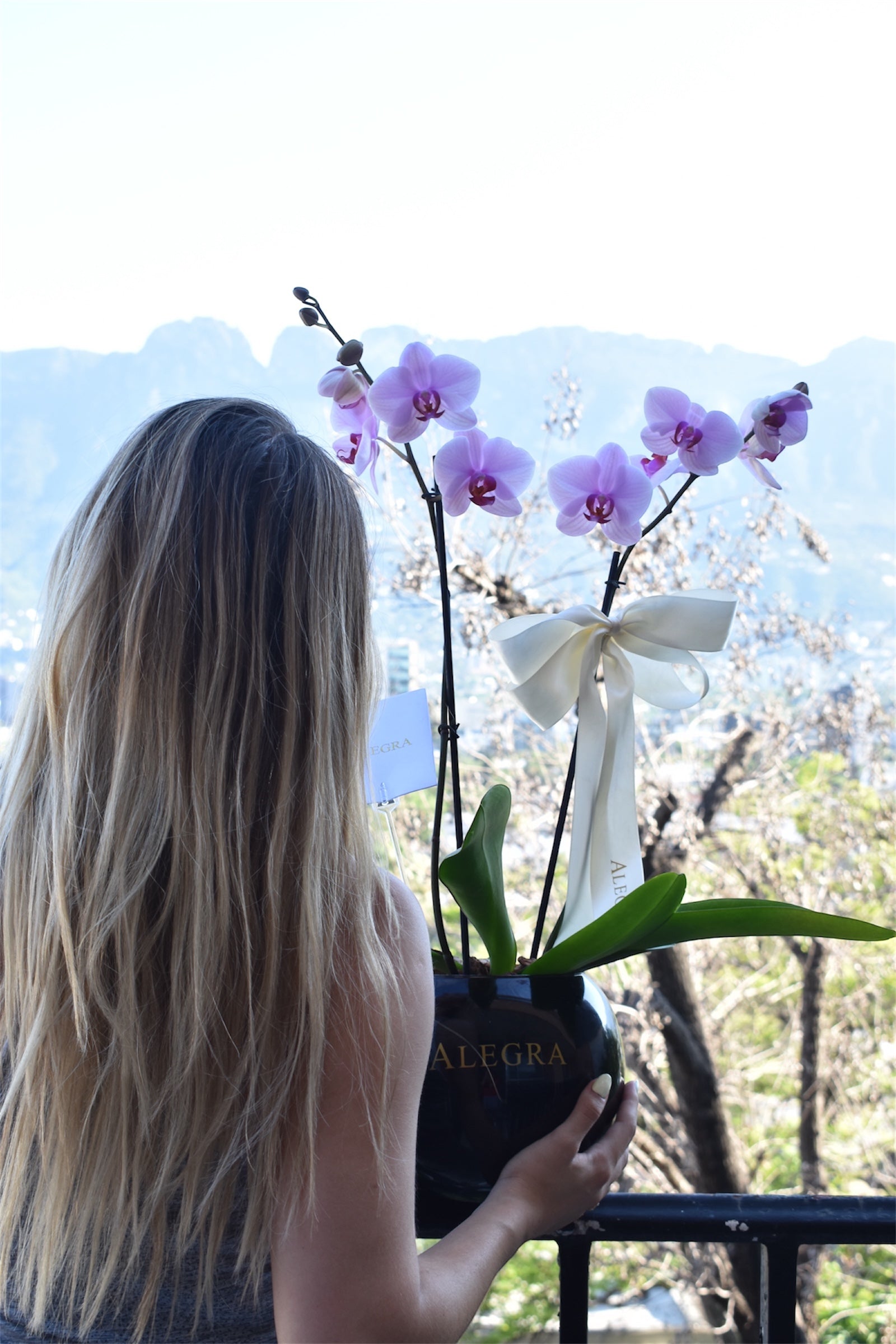 Orquídeas
