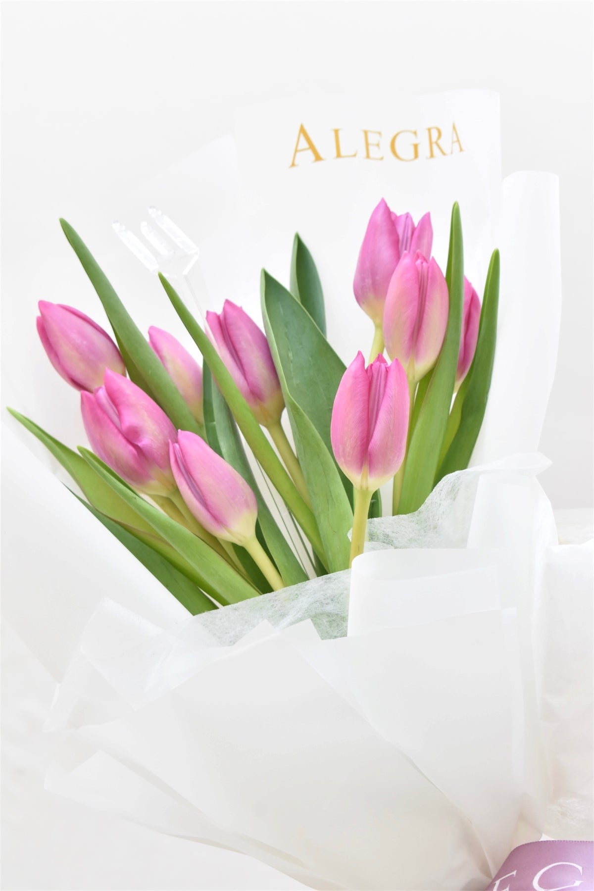 Ramo de Tulipanes