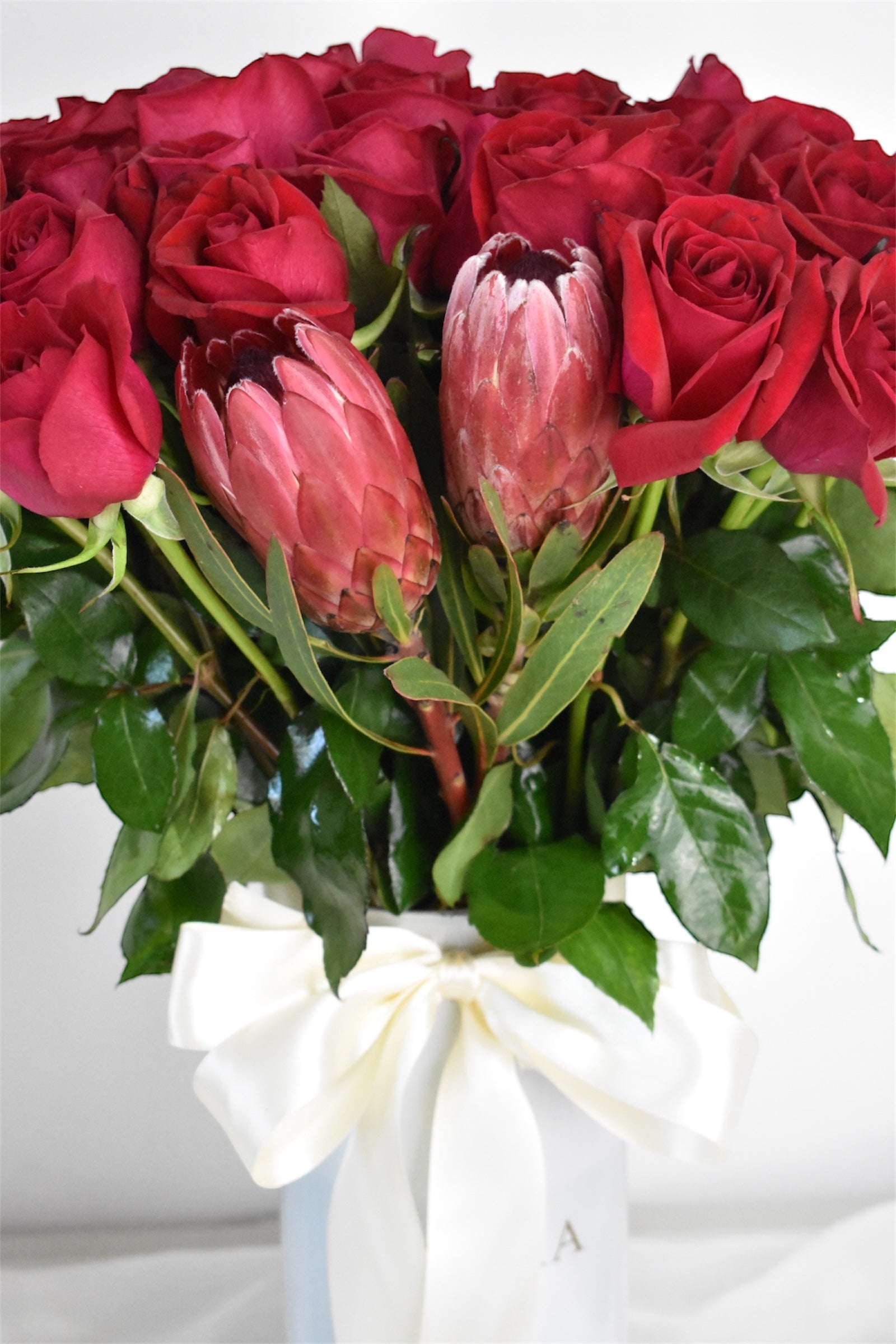Tú & Yo (50 rosas)